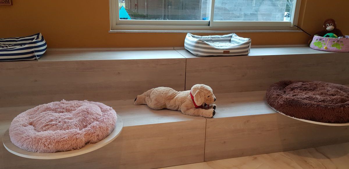 imagini hotel NIRVANA LARA